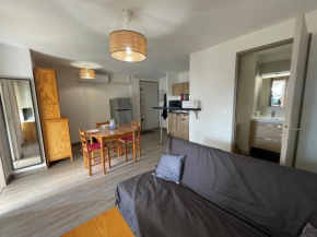 Appartement climatisé 4 pers, proche plage, loggia, parking sécurisé, St-Cyprien - FR-1-225D-157